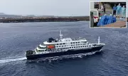 Hantavirus Outbreak on Cruise Ship: What You Need to Know About the Risks
