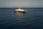 Hantavirus Strain Found in Cruise Ship Passengers, Human Transmission Confirmed