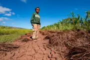 Hawaii Floods Devastate Farms, Threaten Local Food Supply