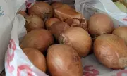 Hidden Potato Among Onions in Tricky Optical Illusion Stumps Reddit
