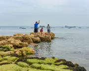 High Levels of Toxic 'Forever Chemicals' Found Off Southern England Coast