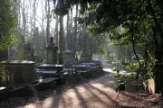 Highgate Cemetery Secures £6.7m Grant to Combat Climate Change Threats