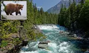 Hiker Found Dead in Glacier National Park in Possible Bear Attack
