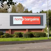 Home Bargains' £30 Solar Trellis Creates 'Magical' Garden Ambience