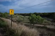 Homeland Security Probes Deaths of Six Migrants in Texas Train Car