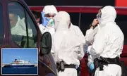 Illinois Hantavirus Case Unrelated to Cruise Outbreak, Officials Say