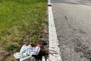 Indiana Man Arrested Dancing on Highway with Rare Turtle and Meth