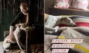 Instagram's 'Huntswoman' Reunited with Whippets After Mediums' Help