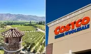 Invasive Pest Found on Costco Plants Threatens California Wine Industry
