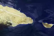 Iran War Oil Spill Devastates Protected Persian Gulf Island