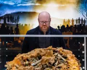 Iron Age Hoard Displayed in York Challenges Northern Britain Myths