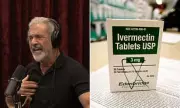Ivermectin Prescriptions Double After Mel Gibson's Cancer Claims