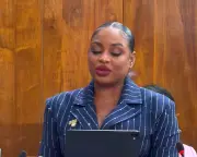 Jamaican MP sparks language row by speaking patois in parliament