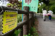 Japan Confirms First Fatal Bear Attack of 2026, Two More Suspected