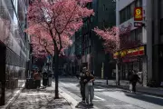 Japan's Population Plunges Record 2.5% in Five Years to 123 Million