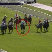 Jockey Banned for Hitting Horse on Head with Whip in Stalls