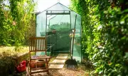June Gardening Checklist: 8 Tasks for a Vibrant Summer Garden