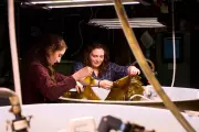 Kelp Biofuel for Ships and Planes: Hurdles Remain Despite Promise