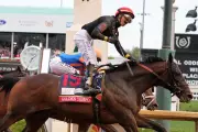 Kentucky Derby Winner Golden Tempo Skipping Preakness Stakes
