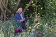 King Charles' Venus Garden at Windsor Castle Opens to Public This Summer