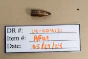 Landscaper Shot by Stray Bullet from Air Force Machine Gun Training, Lawsuit Alleges