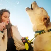 Legal Options for Dealing with a Neighbour's Barking Dog: Barrister Explains