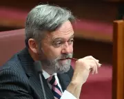 Liberal Senator Breaks Ranks, Criticises Taylor's Welfare Plan for Non-Citizens