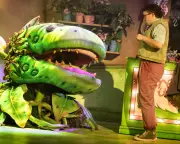 Little Shop of Horrors Review: Mixed Bouquet of Kooky Romance and B-Movie Fun