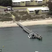 Man Critical After 5-Metre Shark Attack at Australian Tourist Island