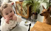 Man Denies Abuse in Adopted Baby's Death at Preston Crown Court