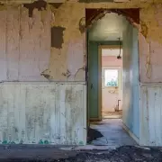 Man Discovers Kitten Trapped in Wall After Hearing Scratching