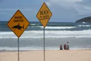 Man Killed in Shark Attack While Spearfishing Near Rottnest Island