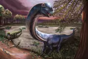 Massive Dinosaur Species Discovered in Thailand After Villager Finds Bones