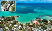 Mauritius Battles Chikungunya Outbreak; US Issues Travel Advisory