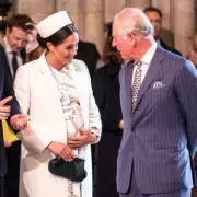 Meghan Markle's Hidden Message to King Charles in Anniversary Post