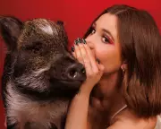 Merlin the Sassy Pig Helped Me Find Love and Happiness