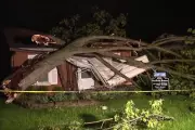 Michigan Home Crushed by Tree Just One Day After Sale