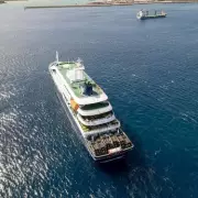 MV Hondius Operator Breaks Silence on Fatal Hantavirus Outbreak
