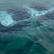 Mystery car submerged by tide rowed over by paddleboarder in Wales