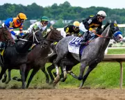 Napoleon Solo Wins 151st Preakness Stakes, Holds Off Iron Honor