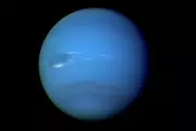 Neptune's Moon Nereid Likely Survivor of Ancient Cosmic Collision