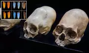 New DNA Study of Conehead Mummies Fails to Prove Alien Origins