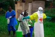New Ebola Outbreak in Congo: 246 Cases, 65 Deaths Reported