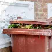 New England Bin Rules: Garden Items You Can No Longer Recycle