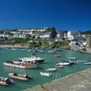 New Quay Crowned UK's Best Seaside Town: Dolphin Spotting & Blue Flag Beaches