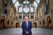 New Wasp Species Named After Sir David Attenborough for His 100th Birthday