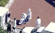 New York High School Student Suspected of Hantavirus; No Link to Cruise Ship