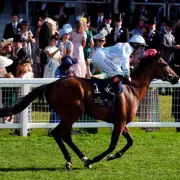 Newsboy's ITV Selections for York and Newbury Plus Friday Tips