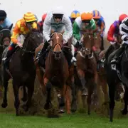 Newsboy's Monday Racing Tips: Angel Shared Nap at Bath, Staniel Cay at Windsor