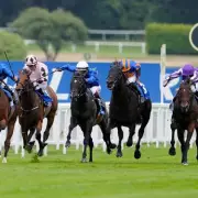 Newsboy's Nap: Gethin to Win Brigadier Gerard Stakes at Sandown
